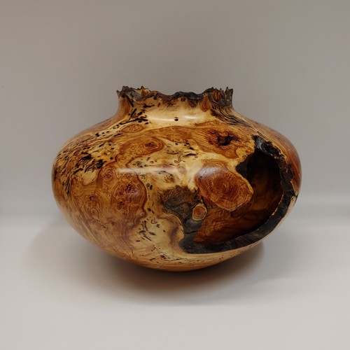 Click to view detail for JW-201 Aspen Burl Hollowed Vessel 8x10 $550